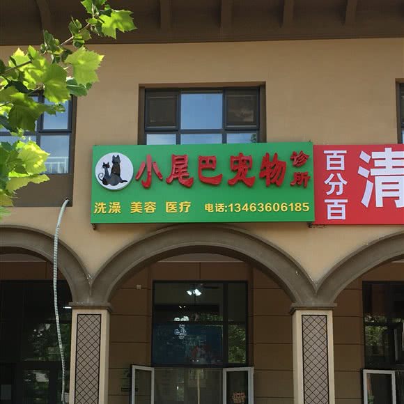 小尾巴宠物诊所
