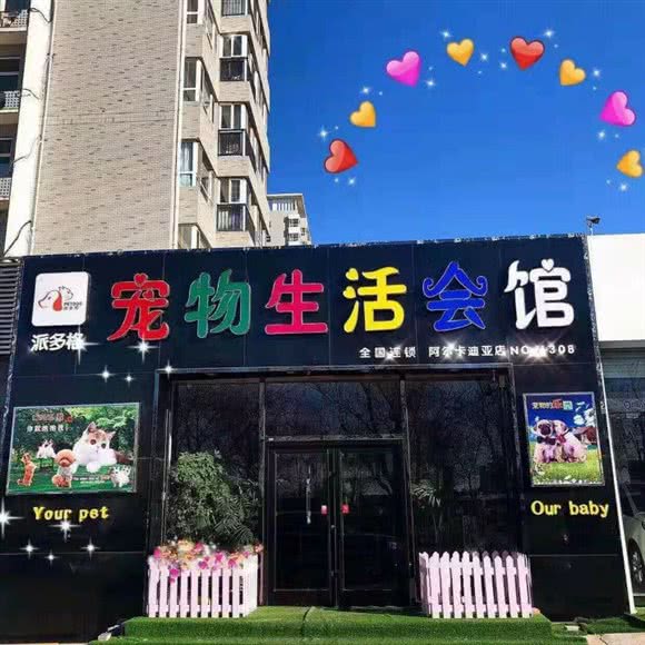 派多格宠物生活会馆(阿尔卡迪亚店)