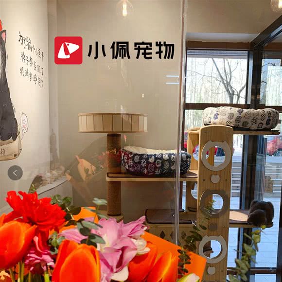 小佩宠物(林奥嘉园店)