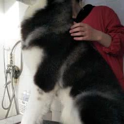 泰萌宠物生活馆