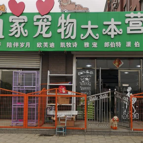 妞妞家宠物馆