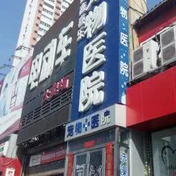 喜乐宠物医院