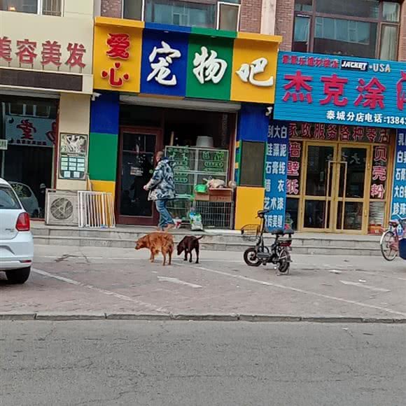 爱心宠物吧