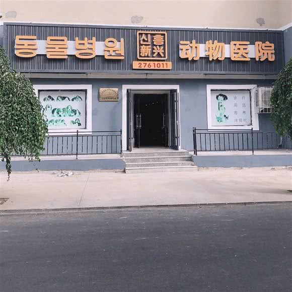 新兴动物医院