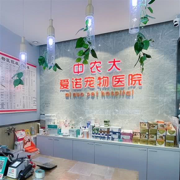 中农大爱诺宠物医院(北大街总院)