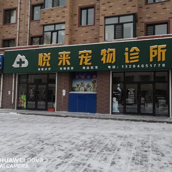 悦来动物诊所