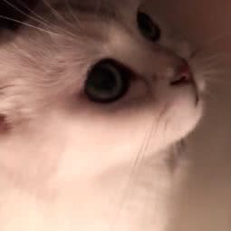 宠爱一生宠物生活馆
