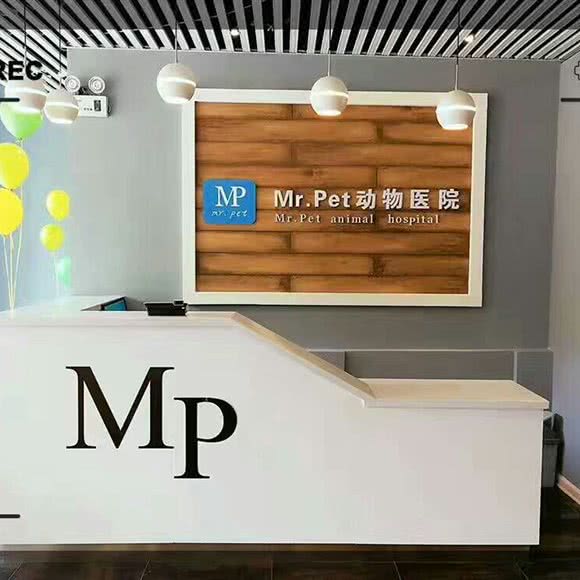 Mr.Pet动物医院