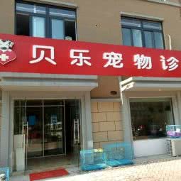 浏河贝乐宠物诊所
