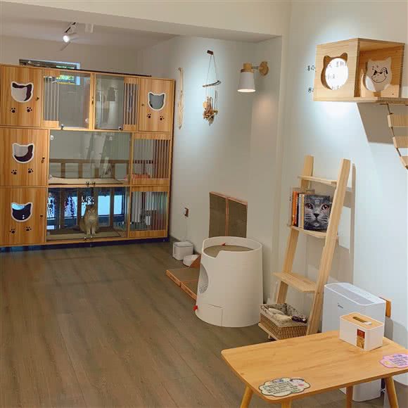 布布喵屋宠物店
