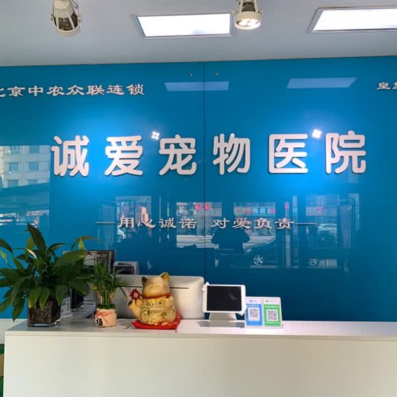 宗室诚爱宠物医院