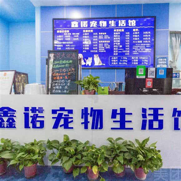 鑫诺宠物生活馆(东信店)