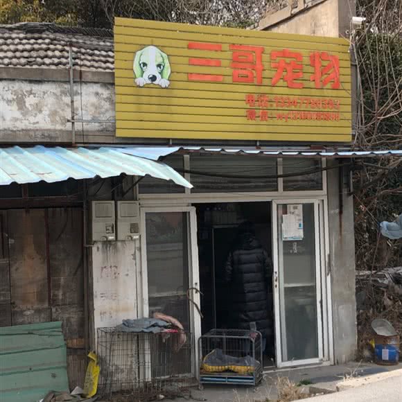三哥宠物