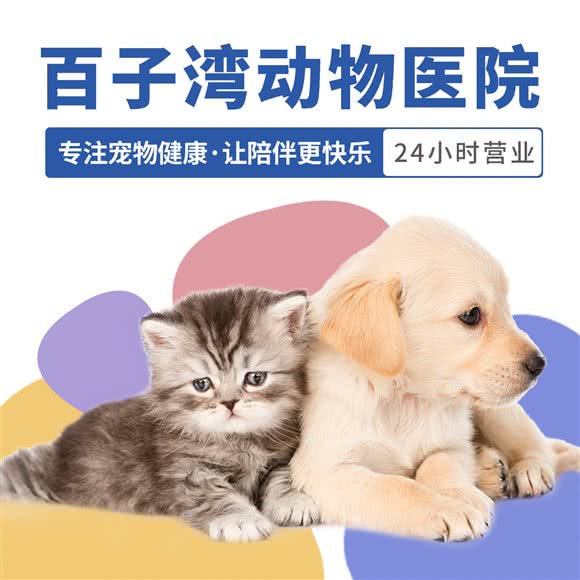 百子湾动物医院(24小时急诊店)