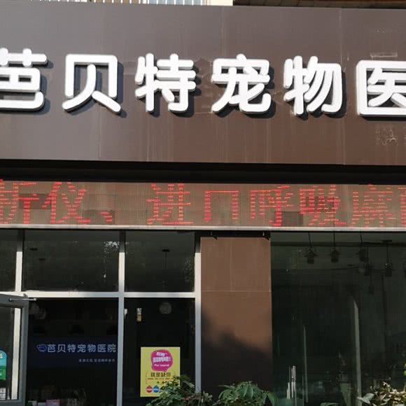 芭贝特宠物医院