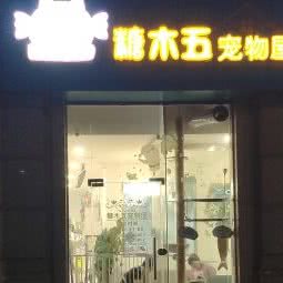 糖木五宠物屋