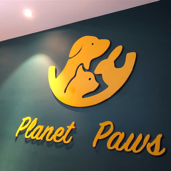 planet paws宠物生活体验馆