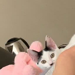 艾特它宠物生活馆