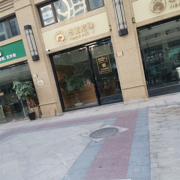 吉宝宠物