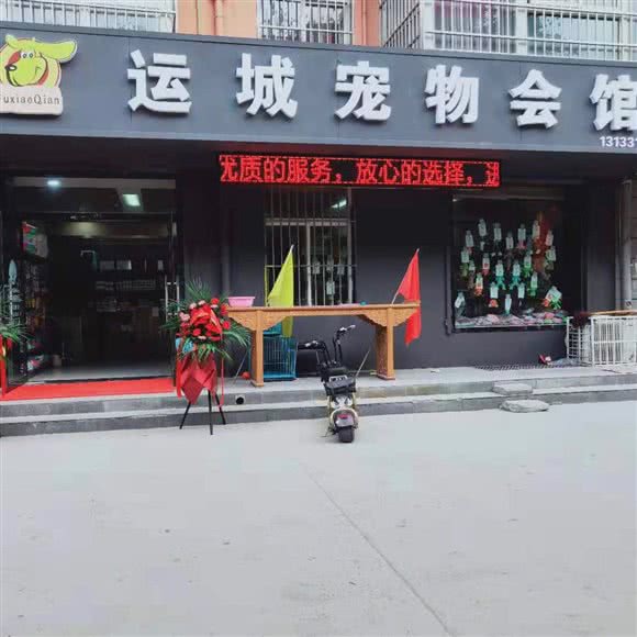 运城宠物会馆