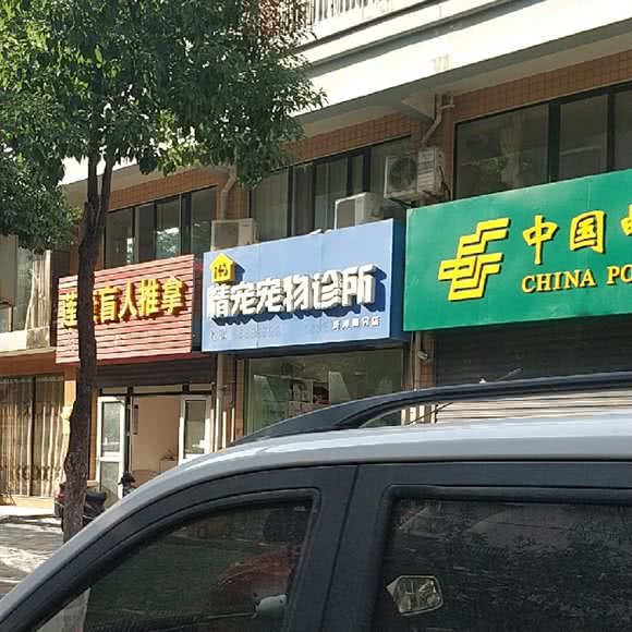 精宠宠物诊所(茨河路分店)