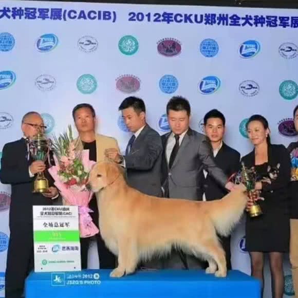 金宠时代宠物生活馆