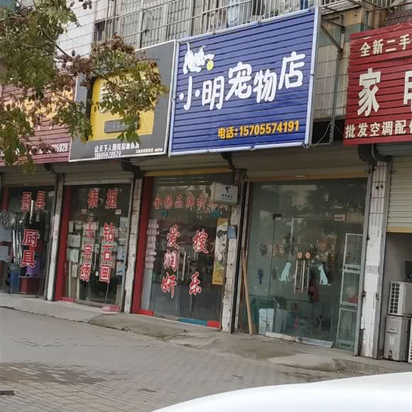 小明宠物店